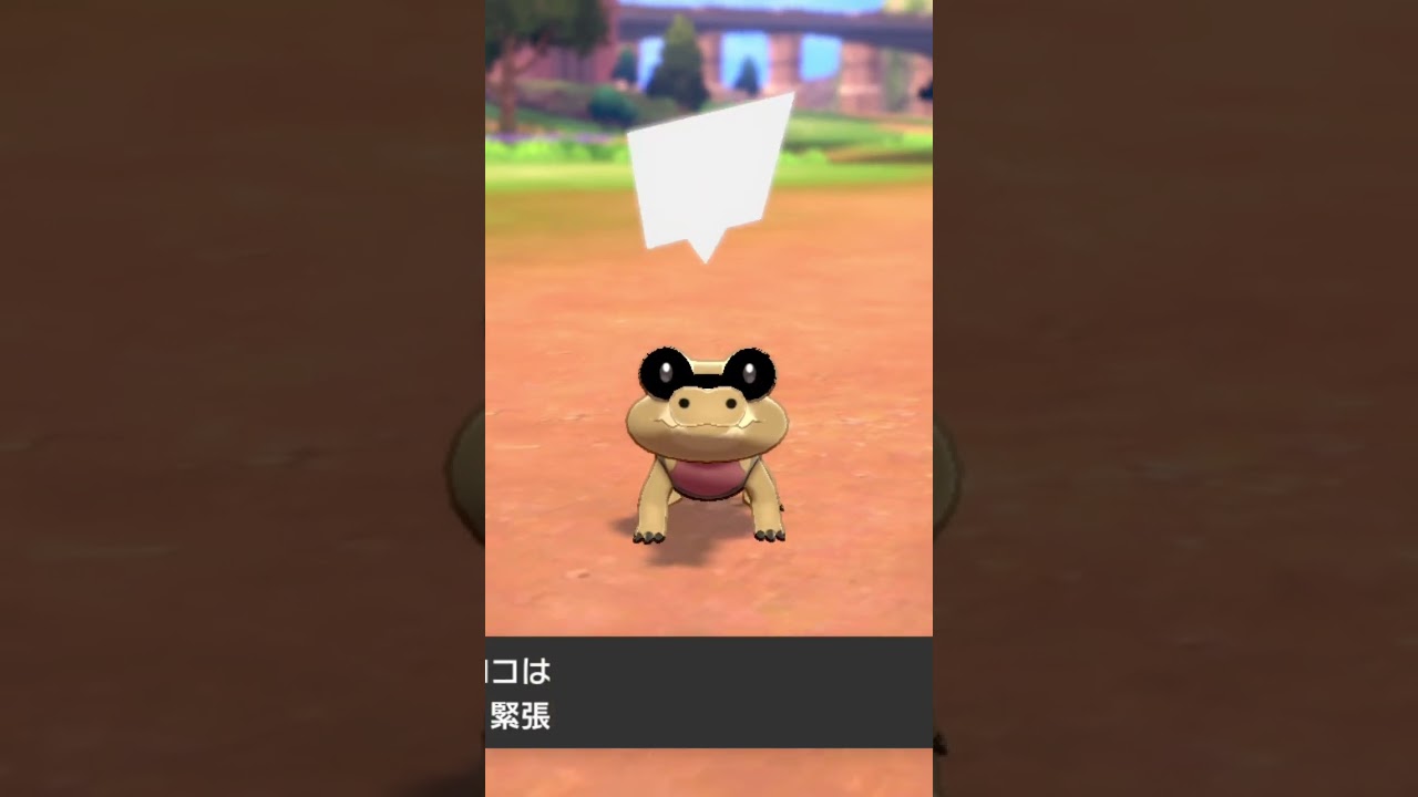 メグロコ Sandile【ポケモン剣盾】