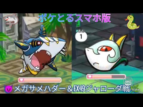 ポケとるスマホ版  メインステージ600メガサメハダー＆EX49ジャローダ戦