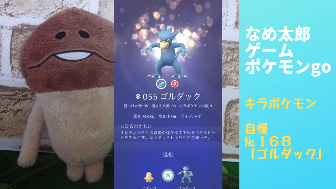 なめ太郎のキラポケモン自慢コーナーナンバー１６８、「ゴルダック」【ポケモンgo】