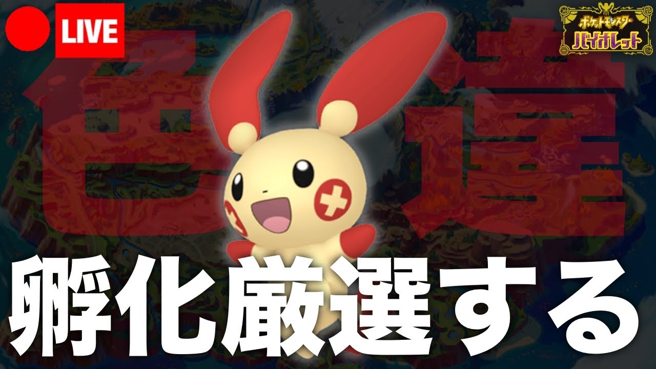 【ポケモンSV】色違いプラスル孵化厳選するやで