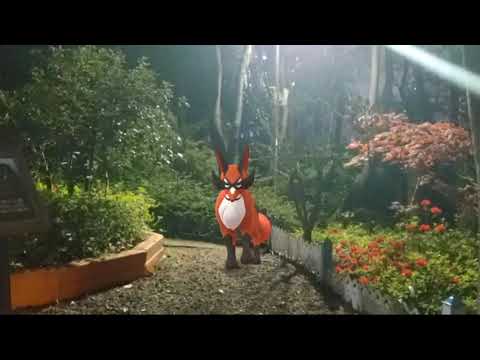 폭슬라이 ( Thievul ) フォクスライ ( 狐大盜 )  (16:9)