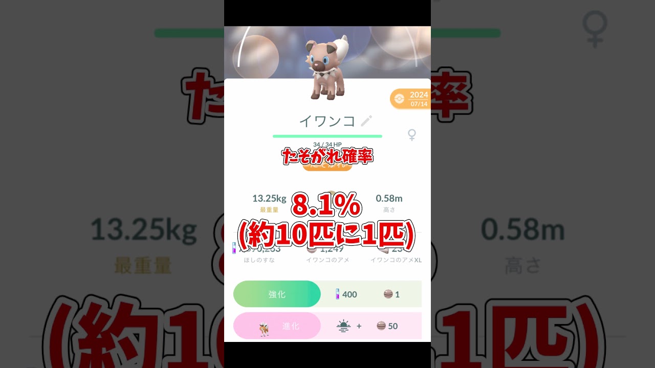 野生たそがれイワンコの確率？GOフェス2024の結果から予測！#ポケモンgo #shorts
