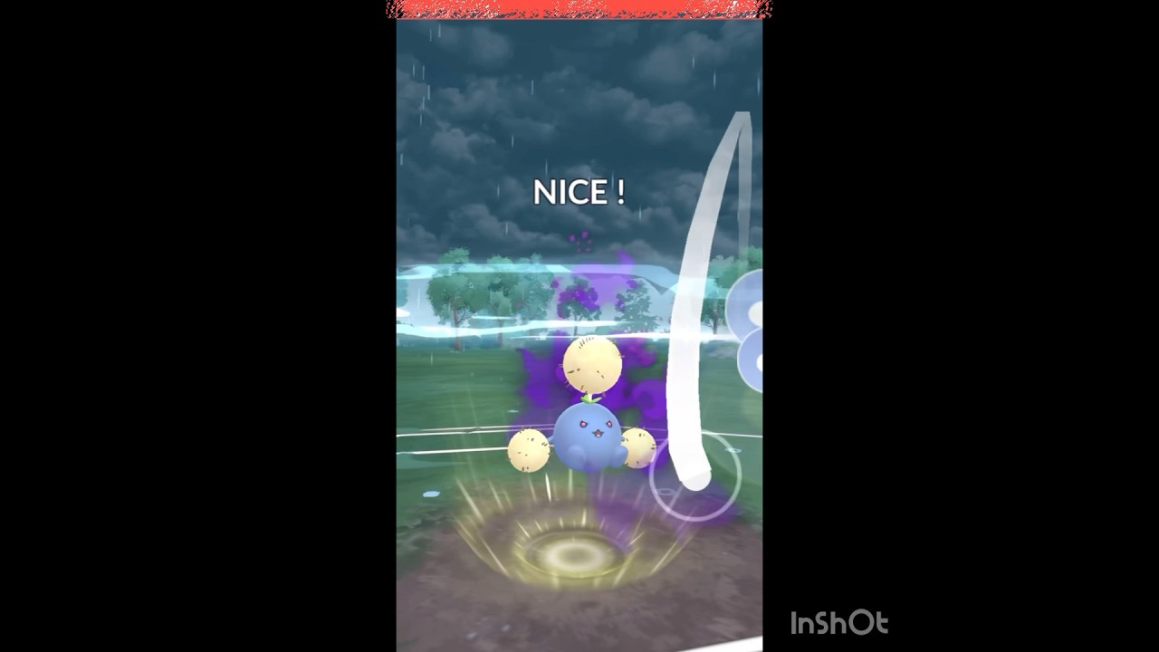 シャドウワタッコ使ってみる‼️