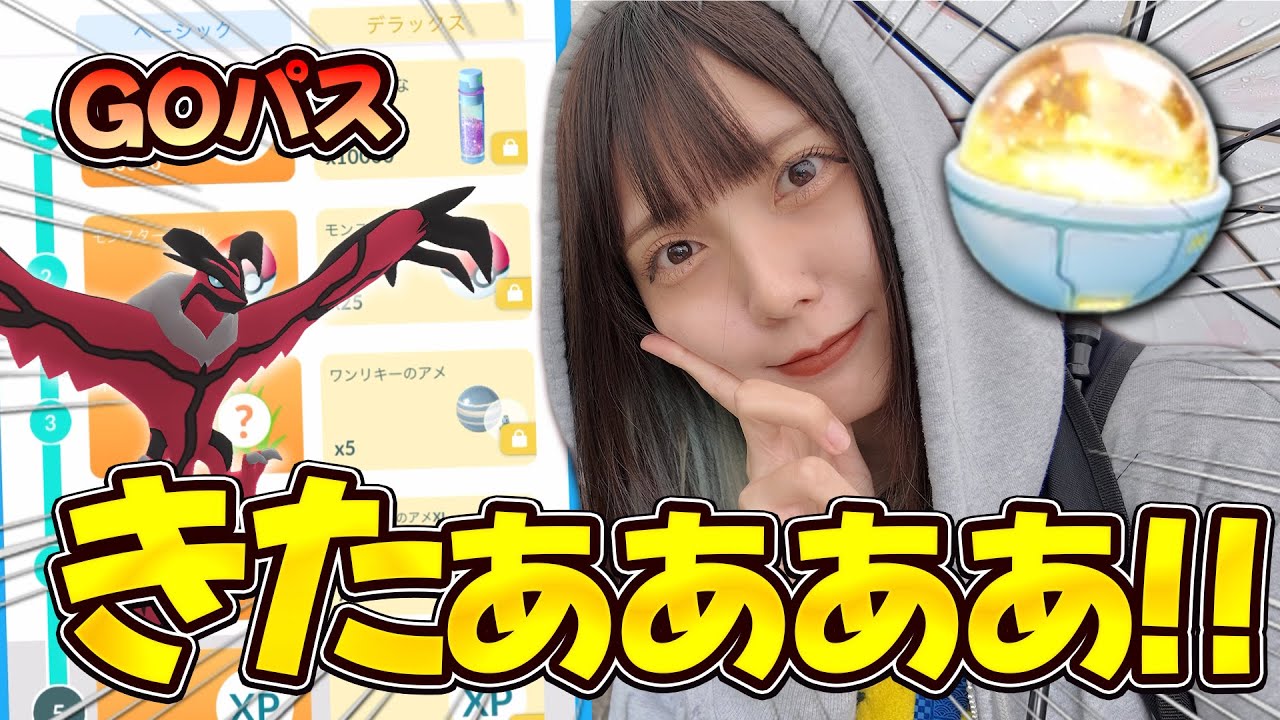 急遽！GOパス配布きたああ！！レアアイテムのキラチャームやイベルタルがゲットできる‼️【ポケモンGO】