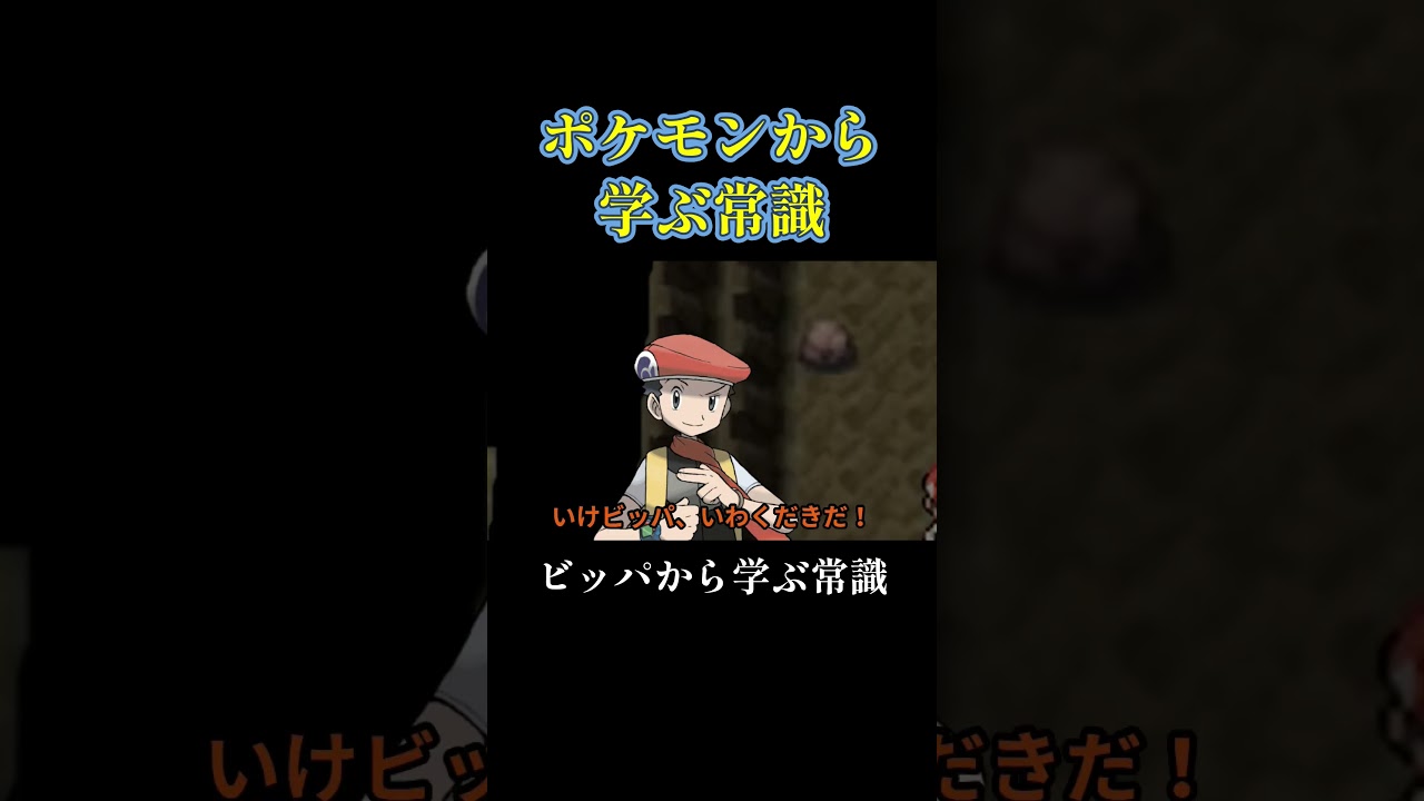 ビッパから学ぶ常識2