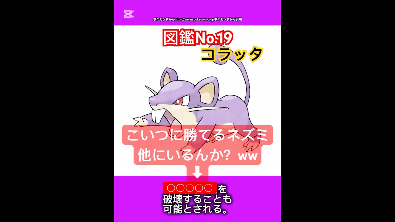 ポケモン雑学【#コラッタ】#ポケモン #pokémon #pokemon #ポケモンsv #pokemongo #JAPAN #japanese #ポケモン赤緑 #ポケポケ #ポケモンカード #ねずみ