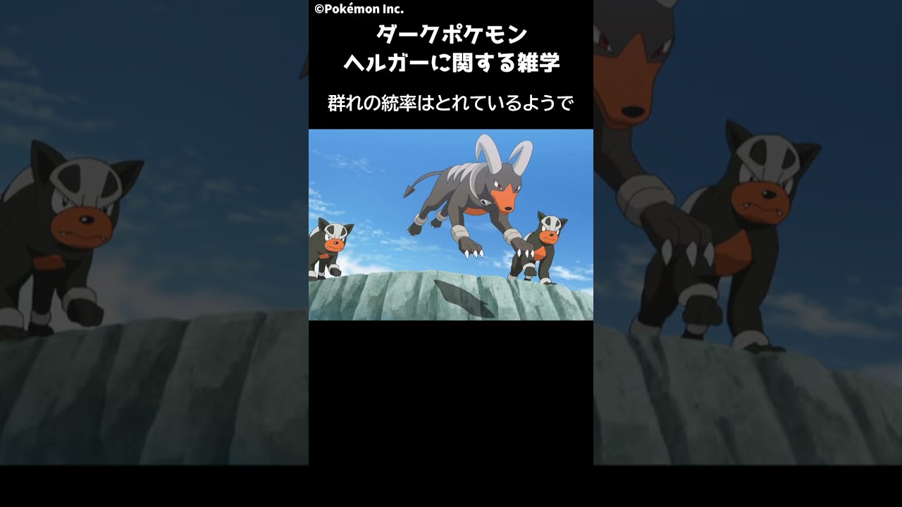 ポケモン 1分でわかるヘルガー Pokemon #ポケモン #pokemon #ポケットモンスター