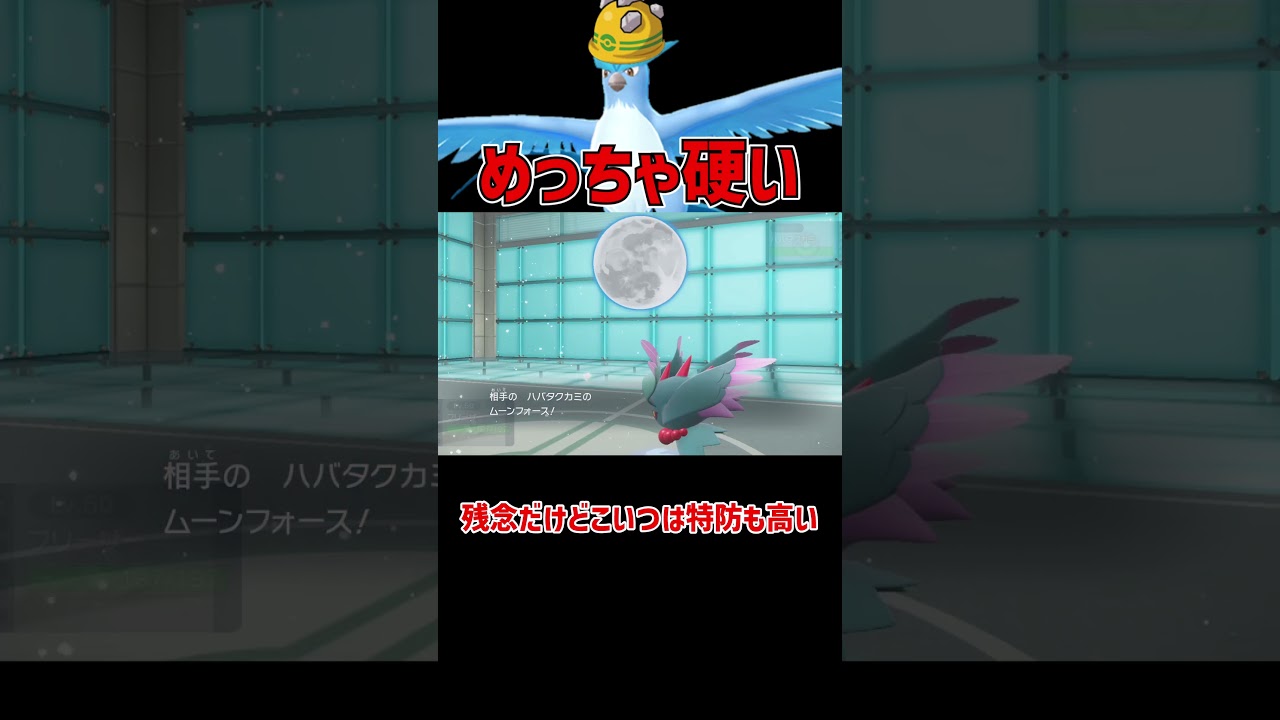 硬すぎる ゴツメフリーザー