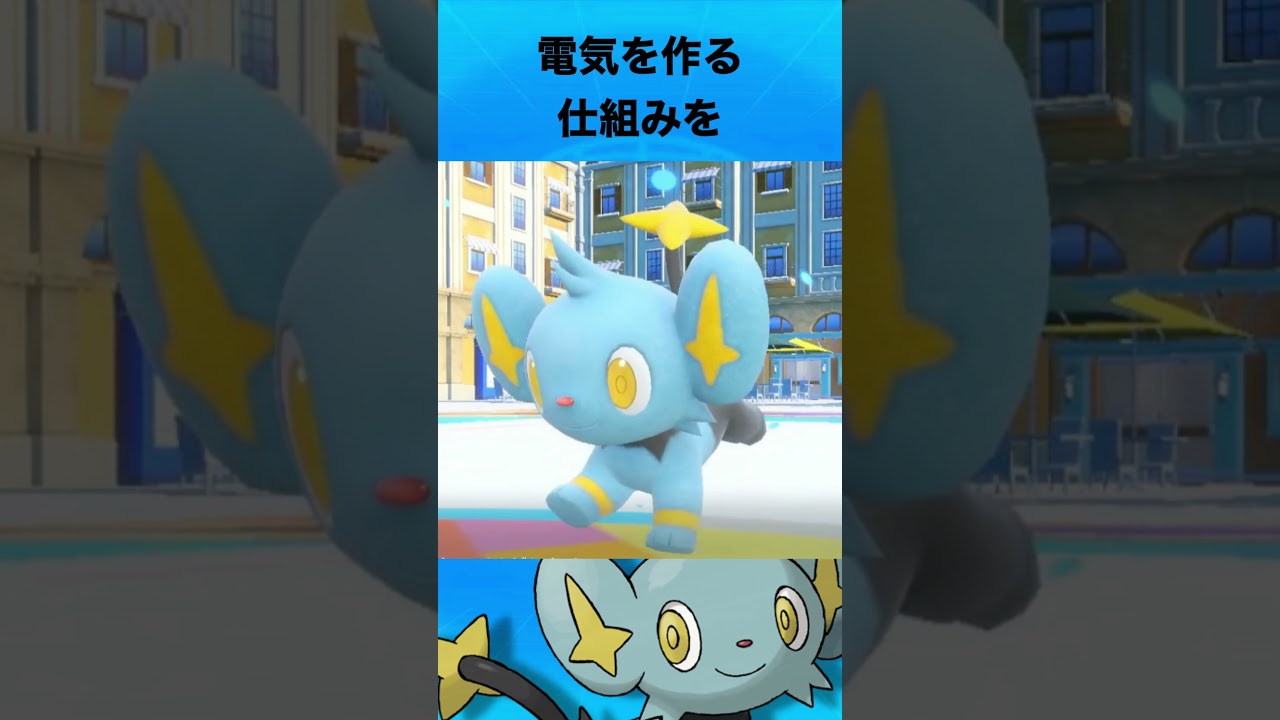 コリンクについて #ポケモン #コリンク