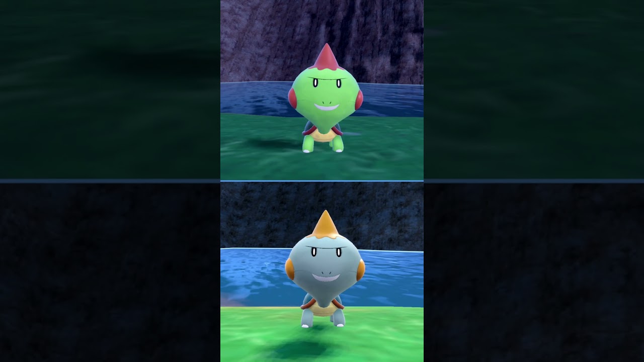 #カムカメ  #ポケモン  #chewtle  #pokemonscarletandviolet