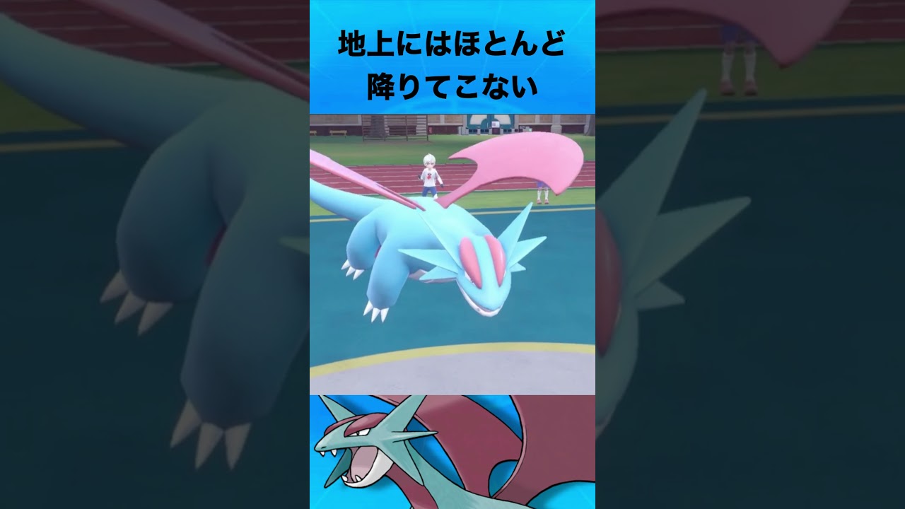 ボーマンダについて #ポケモン #ボーマンダ