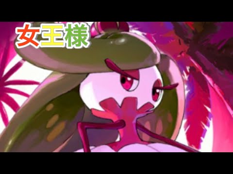 【ポケポケ】アマージョ様へコインのご機嫌取り【アマージョ】