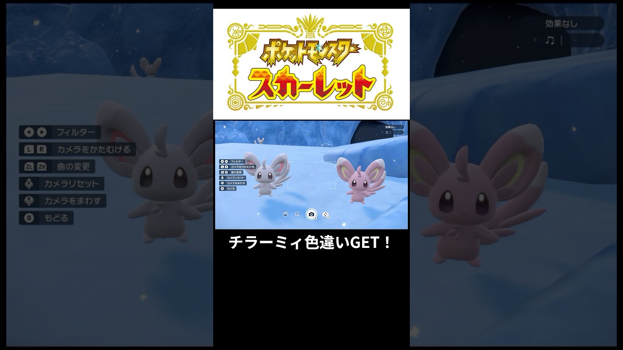 チラーミィ色違いGET！#ポケモン#ポケモンsv #ポケモンスカーレット#ゲーム#ゲーム実況#ゲーム配信#参加型#初心者#ゲーマー夫婦#switch