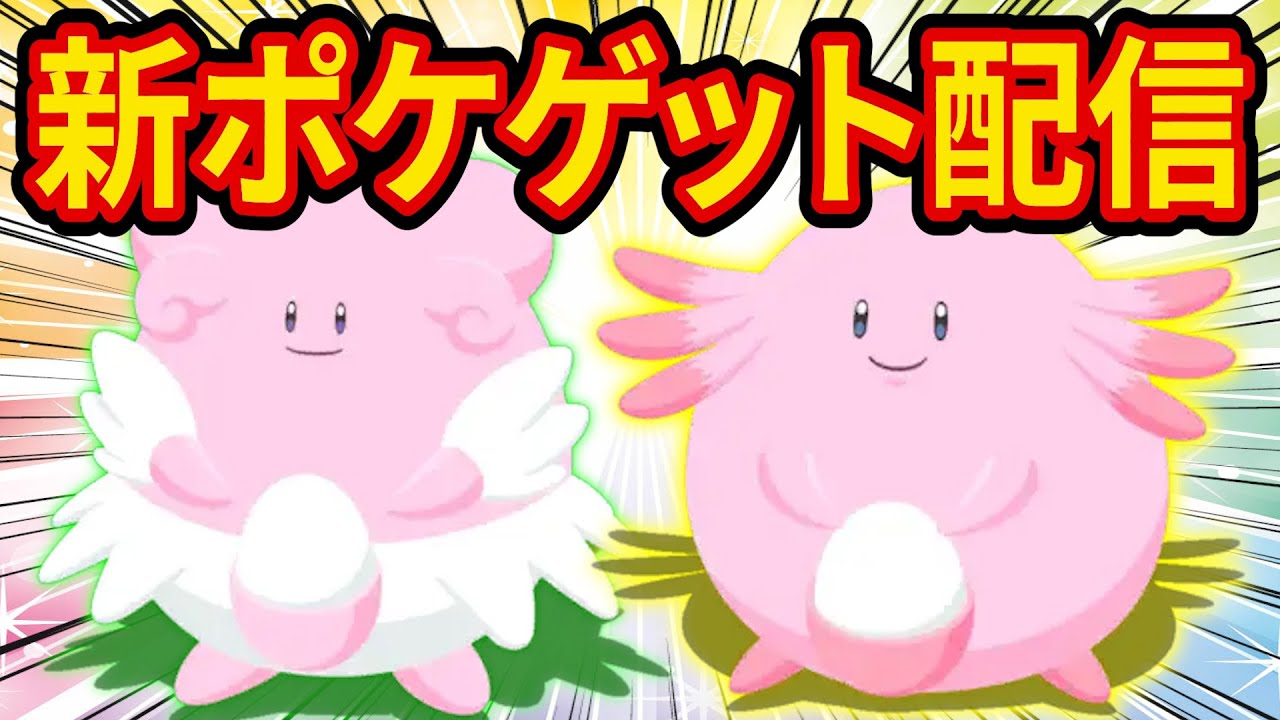 新ポケモン「ハピナス/ラッキー」の神個体をゲットするポケモンスリープ睡眠リサーチ配信【Pokémon Sleep】【ポケスリ】【ポケモンスリープ】