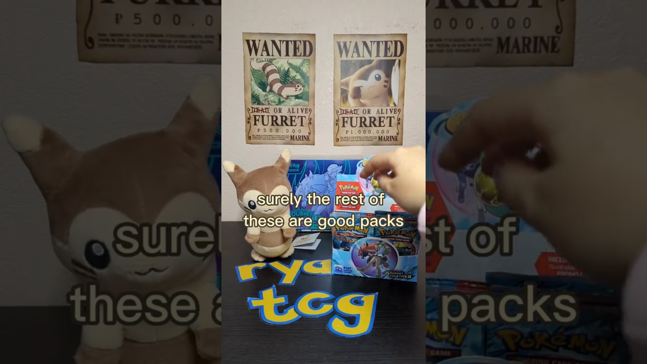 Episode 19 of "Finding Furret"!