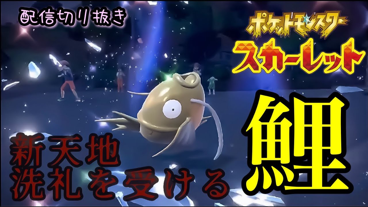 【ポケモン】金コイキング１匹を連れて新天地へ！里のみんな！仲良くしてね！！（配信切り抜き）