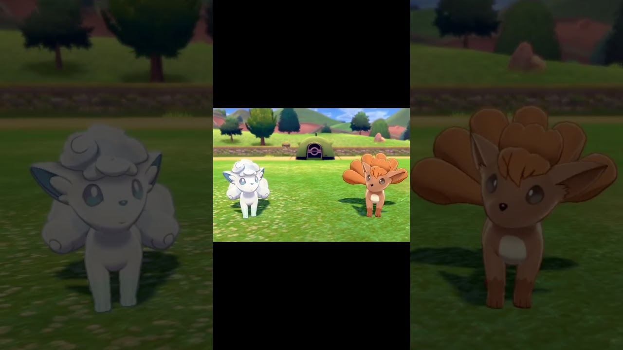 駆け寄ってくるロコン　#Shorts