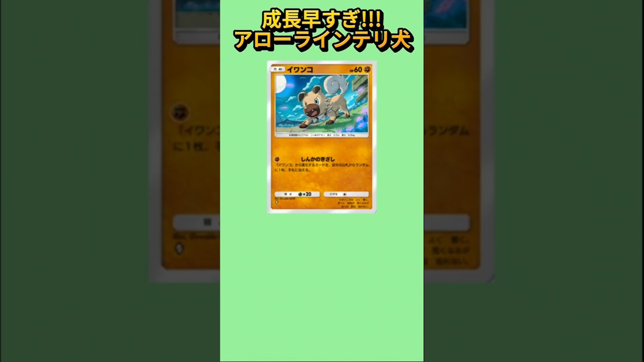 【さすが】成長早すぎるアローラインテリ犬「イワンコ」【ポケモン解説員】#サンムーン#ポケポケ#ポケモン解説員