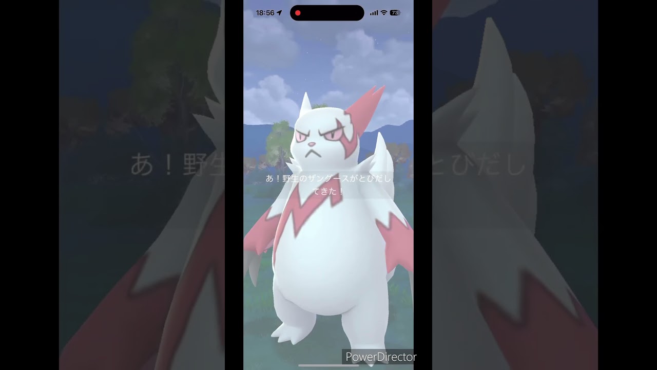 デデン！と、ザングース #ポケモンgo #pokemon #ポケgo #ポケモン