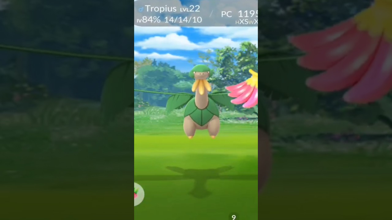 La primera vez que veo un TROPIUS #pokémon #pokemongo  #reels #reelsvideo #shortvideo #shortsfeed