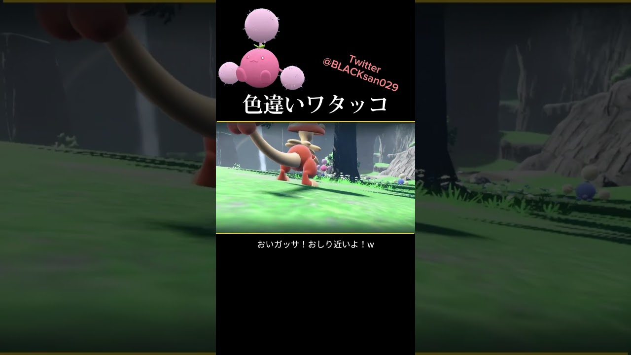【ポケモンSV】色違いワタッコを求めて #ポケモンsv #ポケモンSV #ポケットモンスター #色違い #色違い厳選 #ワタッコ #shorts