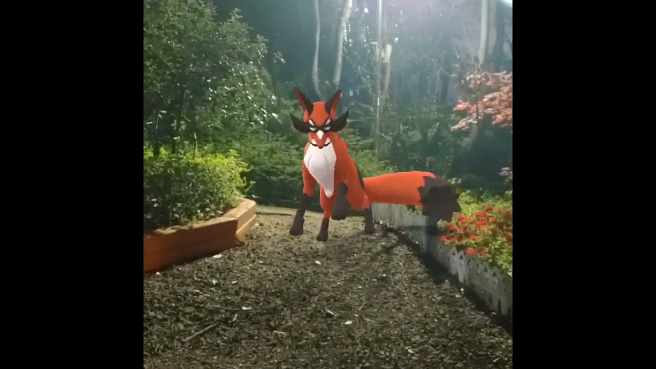 폭슬라이 ( Thievul ) フォクスライ ( 狐大盜 )