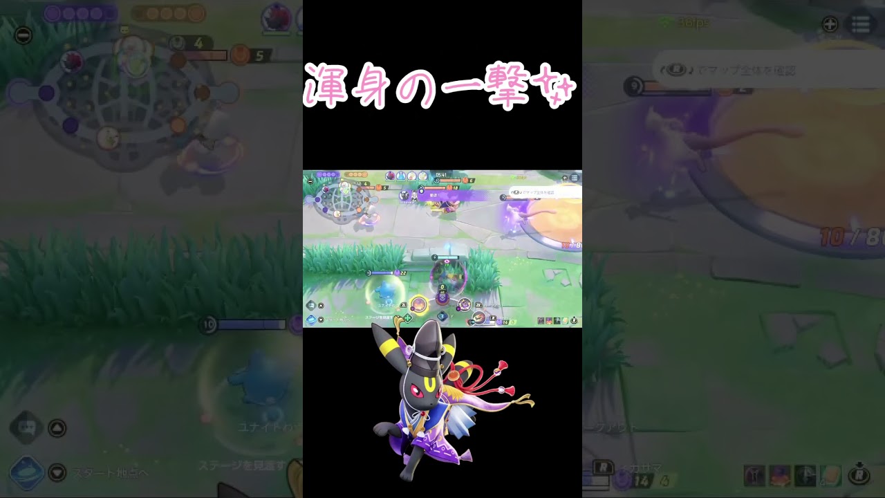 キュワワーだけが取り柄じゃないもん🥹#ポケモンユナイト #ブラッキー