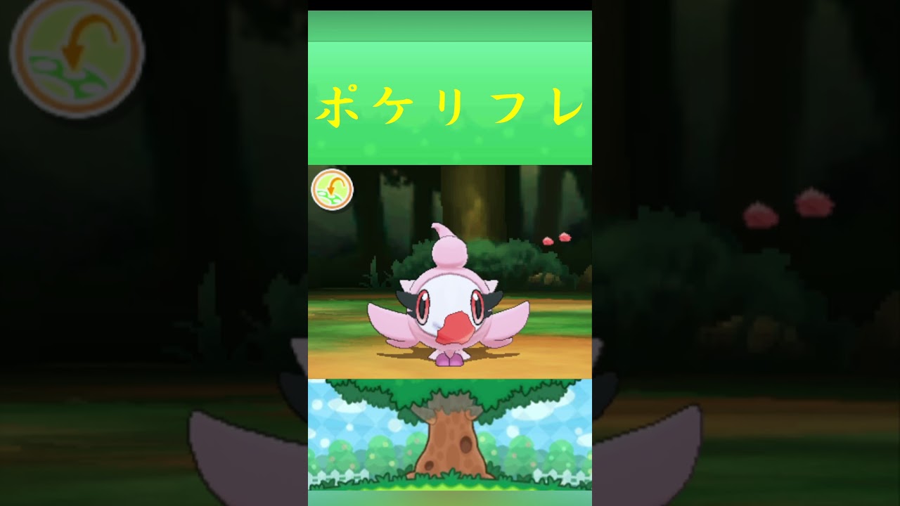 ポケモン シュシュプ ポケリフレ ポケパルレ #ポケモン #Pokemon  #3DS #ポケモン技 #ポケモンsv #ポケモン #ふれあい #キャンプ #カレー #サンドイッチ #ピクニック
