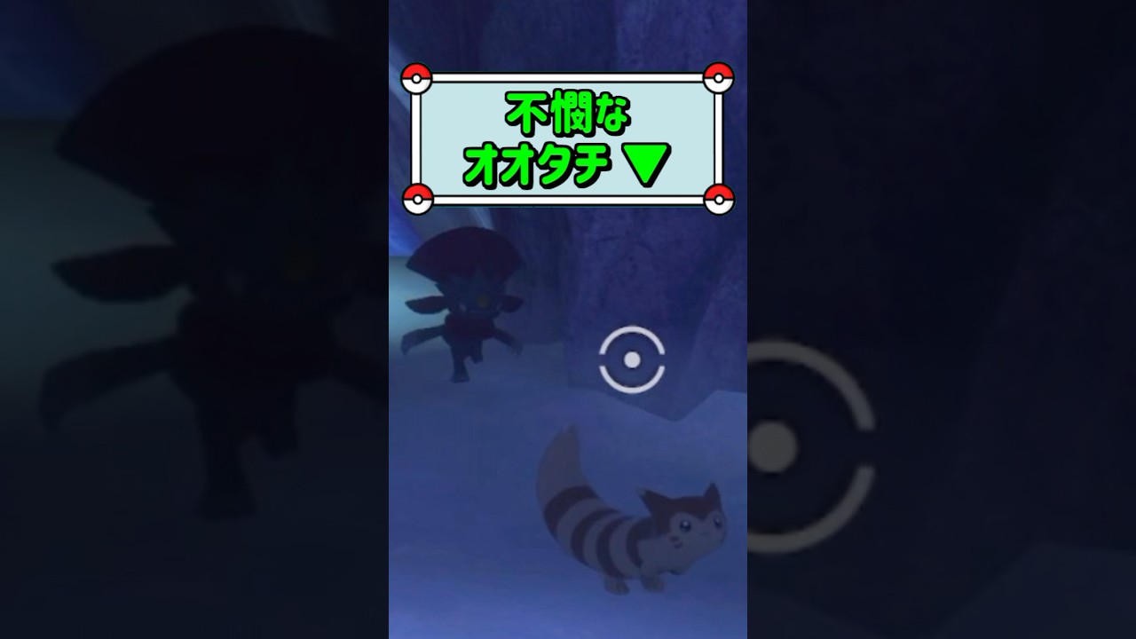 「不憫なオオタチ ▼」　#ポケモン　#ポケモンスナップ　#ポケスナ　#shorts