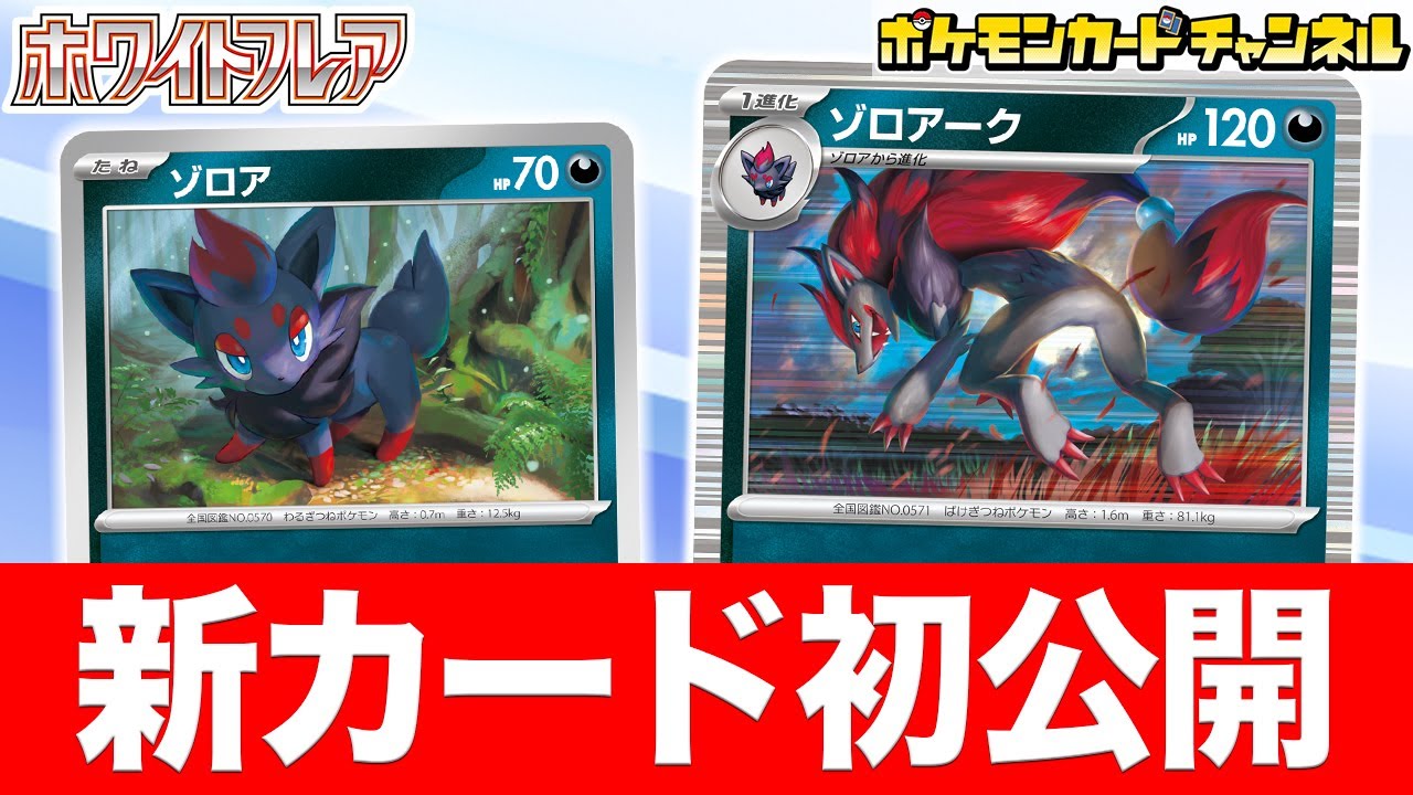 【初公開】相手の状況を利用するゾロアークが登場！懐かしさも感じる2つのワザに要注目！【ブラックボルト/ホワイトフレア/ポケモンカード】