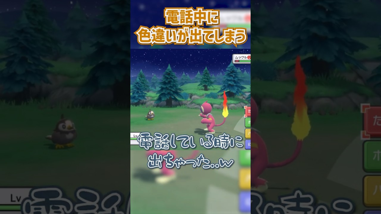 電話中に色違いが出てしまう．．．｜【203番道路編②】27216回目：ムックル♀｜【ポケモンBDSP】色違いシンオウ図鑑完成の旅 #ポケモン #shinypokemon #色違い #ダイパリメイク