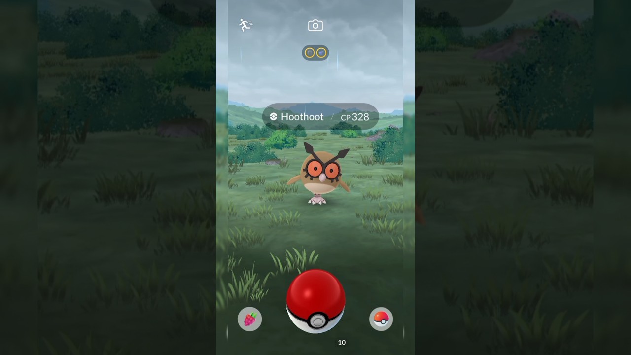 Catching a Hoothoot pokemon in the nature #pokemongo #pokemon