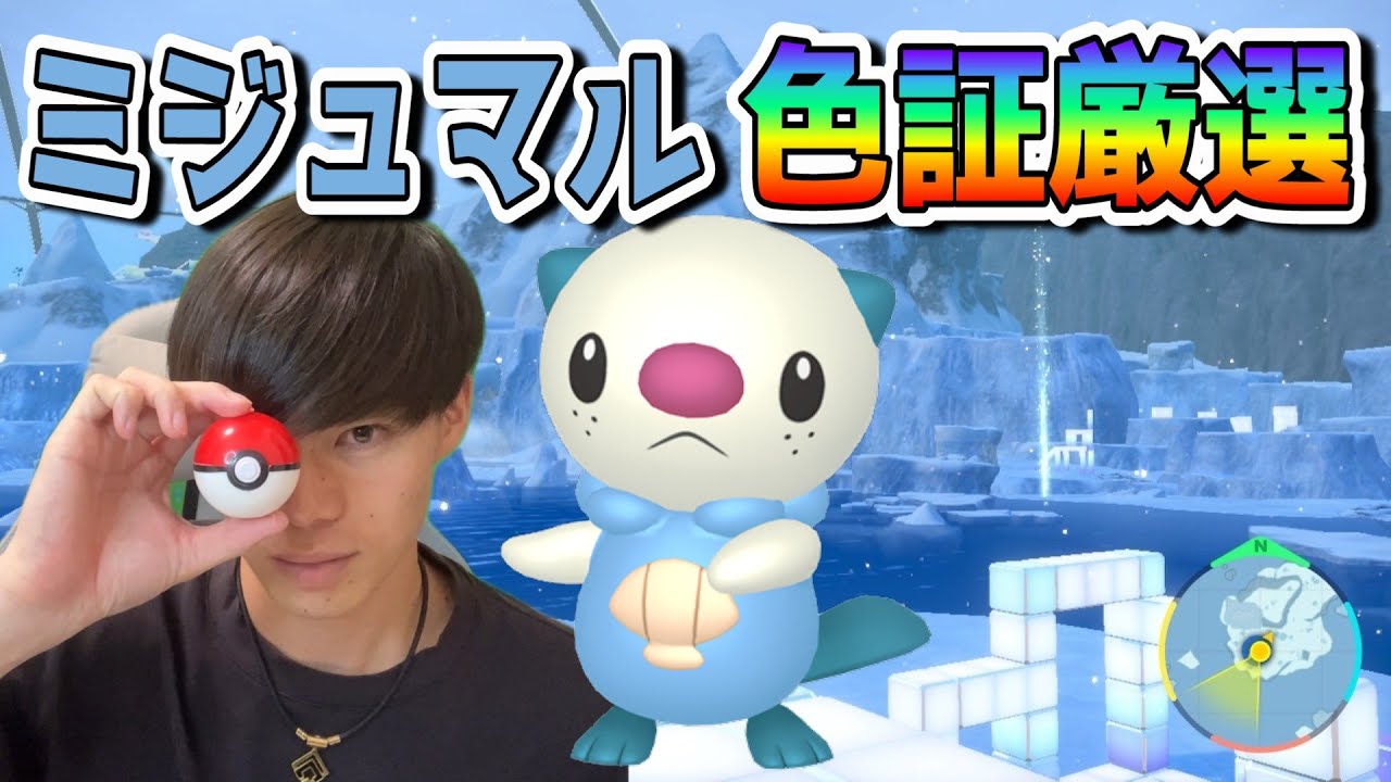 ミジュマル色証厳選！【ポケモンSV】