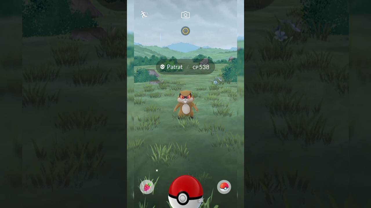 Catching a Patrat pokemon that has 538cp in the nature #pokemongo #pokemon