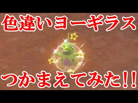 【ポケモンSV】色違いヨーギラスつかまえてみた！！