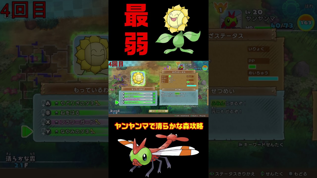 【ポケダンDX】 戦わないキマワリ#Shorts