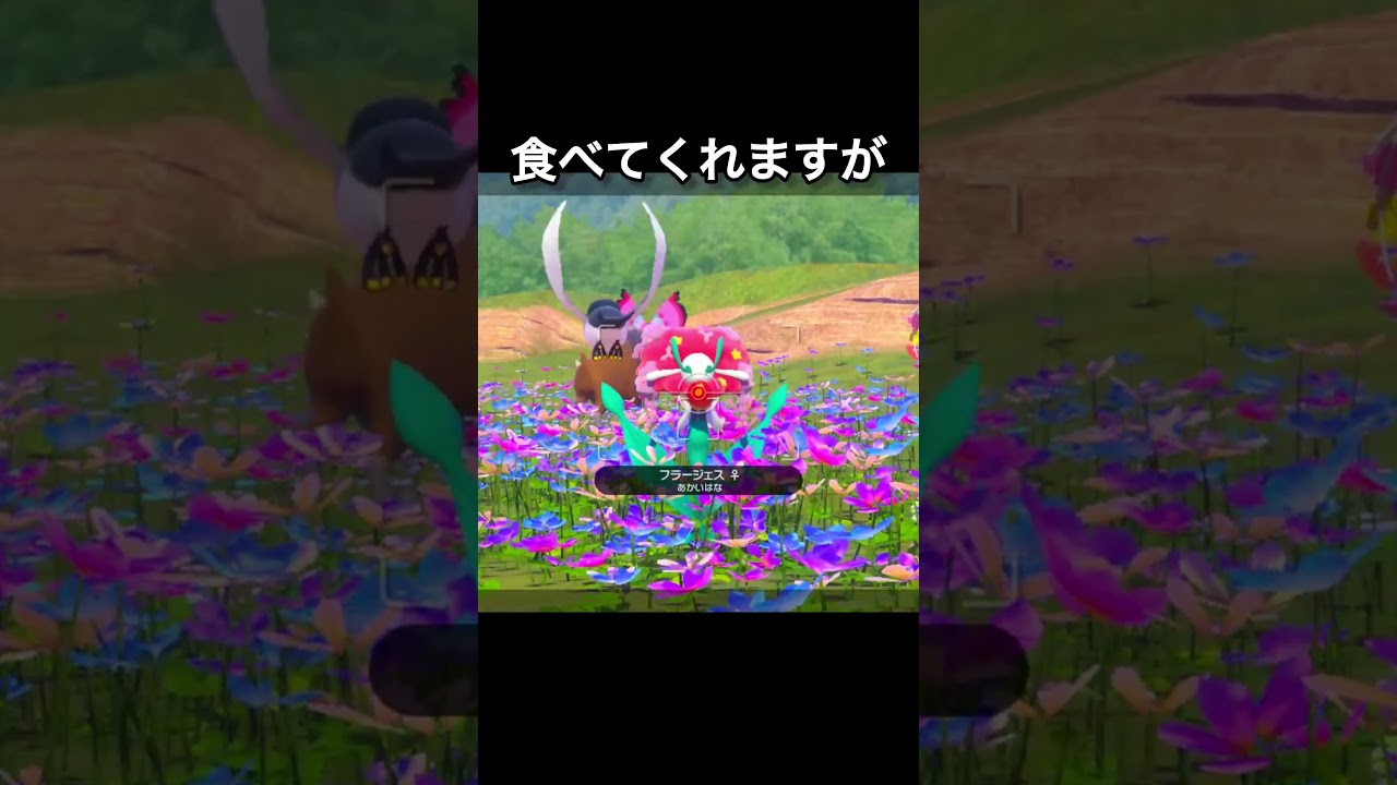 お嬢様なフラージェス　#フラージェス #ポケモンスナップ