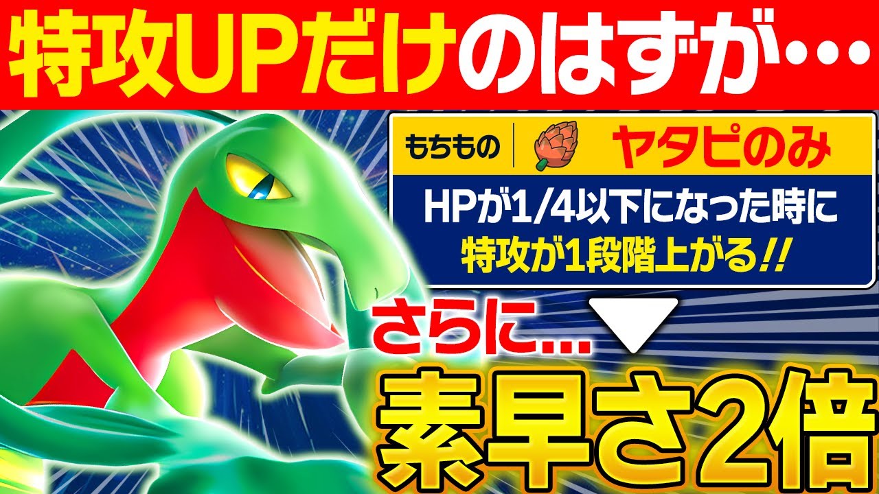 【抽選パ】『ヤタピのみ』食べたら何故か素早さも上がるジュプトルのコンボがヤバい←特攻しか上がらないはずなのになんで！？ #12-2【ポケモンSV/ポケモンスカーレットバイオレット】