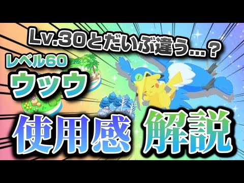 【使用感】レベル60になったウッウの性能が... ポケスリ初期勢がゆるゆる使用感をお話ししました【ポケモンスリープ】