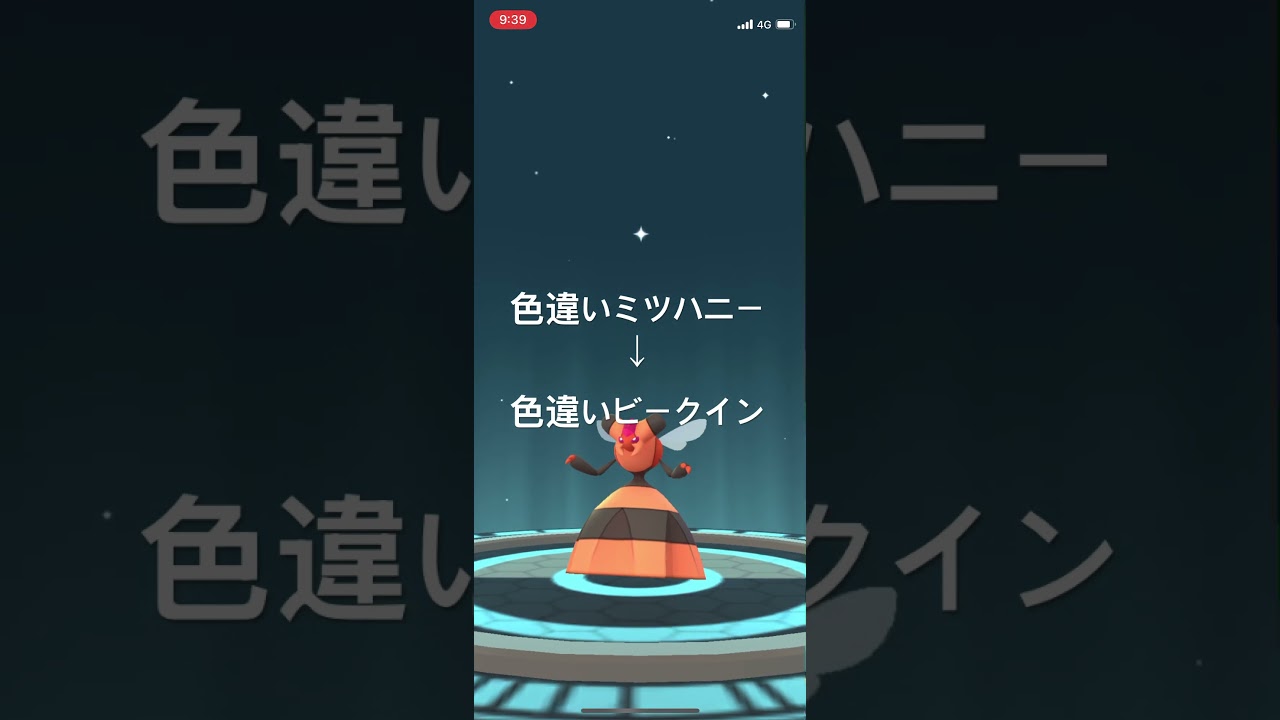 ポケモンGO 色違いミツハニー出現！色違いビークインへ進化！ #pokémon #ポケモン #ポケモンgo #pokemongo #ポケgo