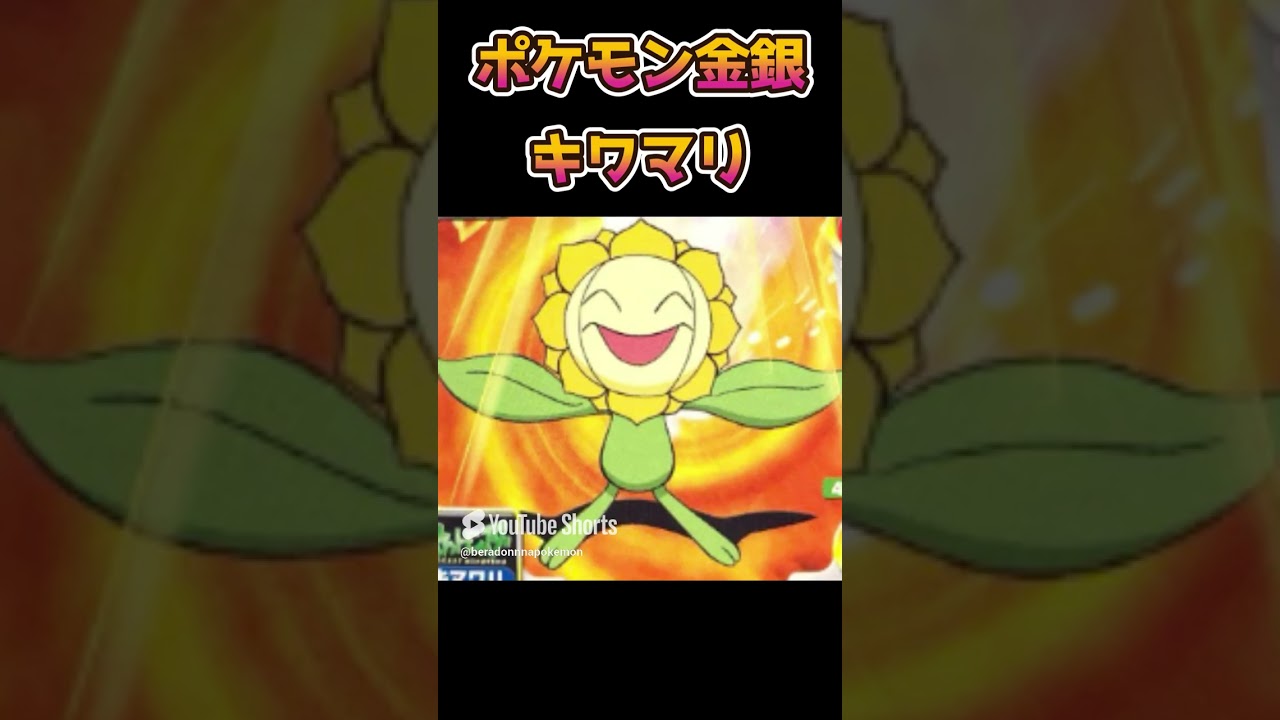 【ポケモン金銀】第2世代のキマワリがつらい・・・【ポケットモンスター】【ポケモンSV】#shorts