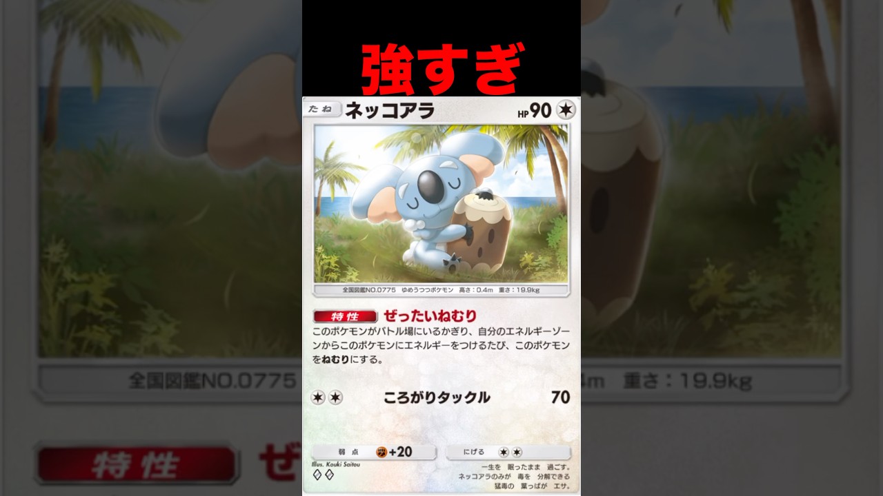 ネッコアラは眠らない