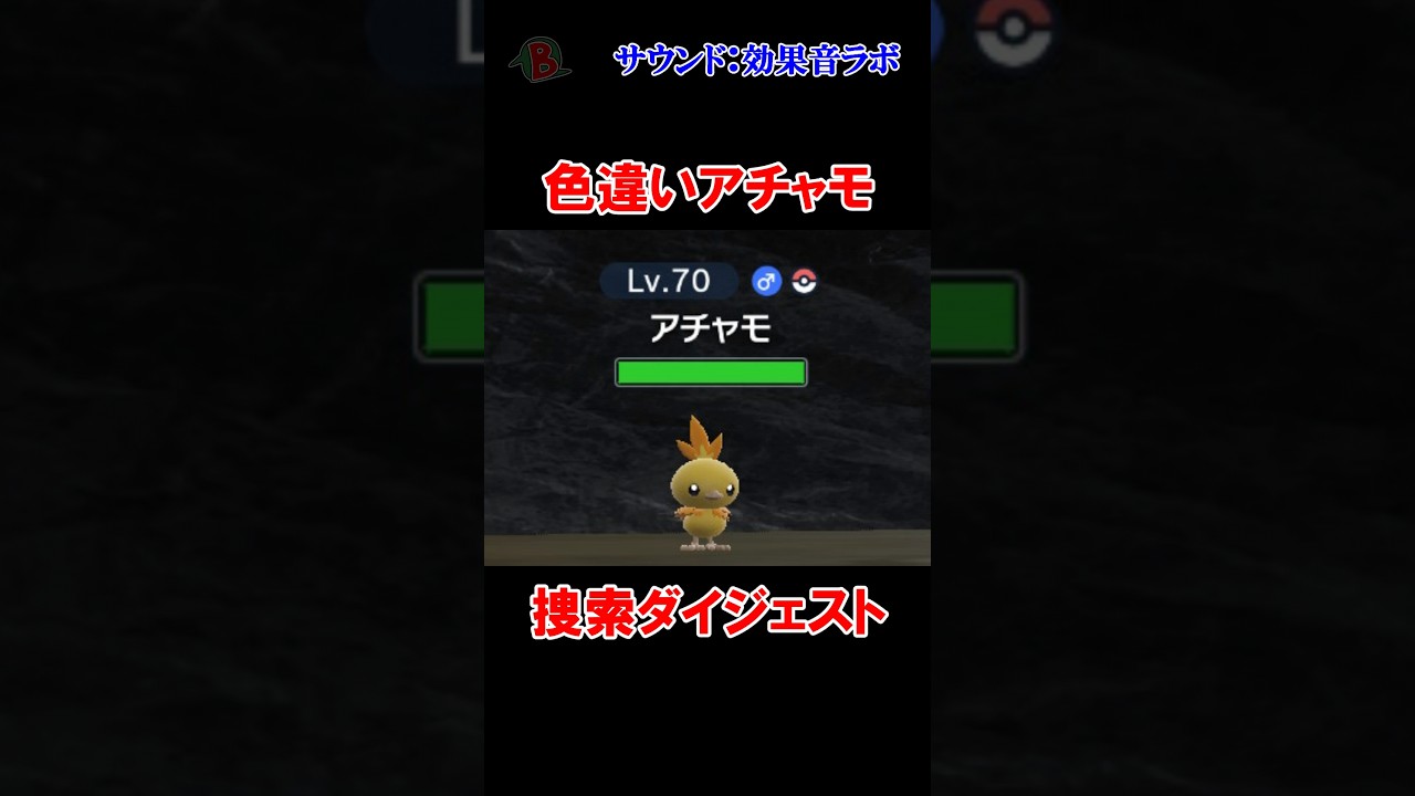 【#ポケモンSV】色違いアチャモ捜索ダイジェスト  #shorts