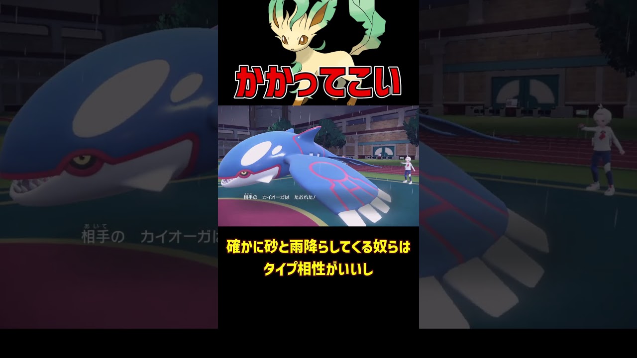 どんな天気でも戦えそうな リーフィア