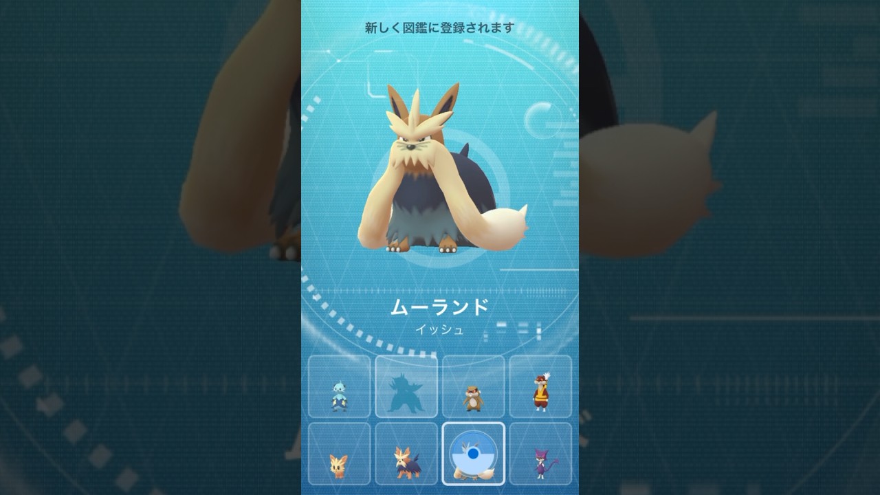 【 ポケモンGO 】 ヨーテリー → ハーデリア → ムーランド ！愛犬の日なので進化！【 うさぴよの巣 】#pokemongo