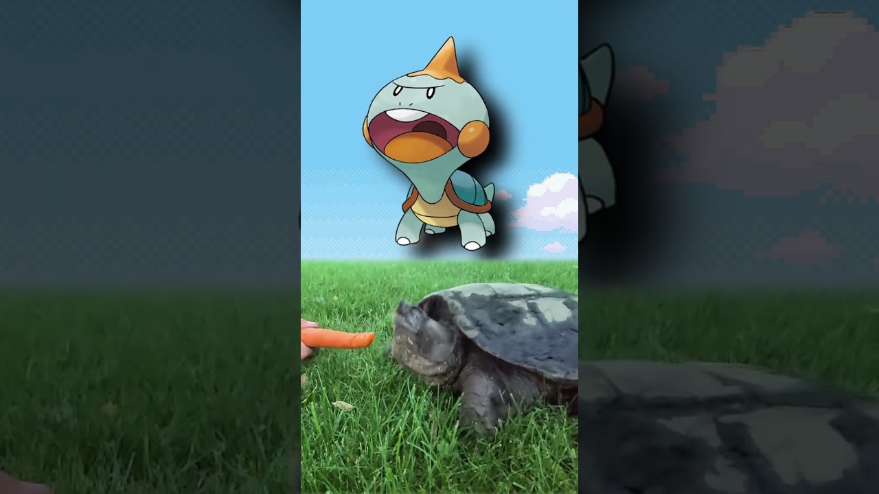 WTF is Chewtle?| EVERY Pokémon Design Explained #pokemon #pokemoncards  #shorts