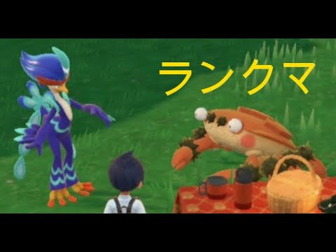 ブラックキュレム【ポケモンsv】