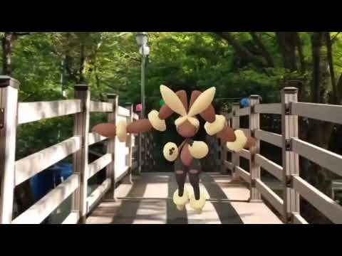 메가이어롭 ( MegaLopunny ) メガミミロップ ( 長耳兔 ) (16:9)