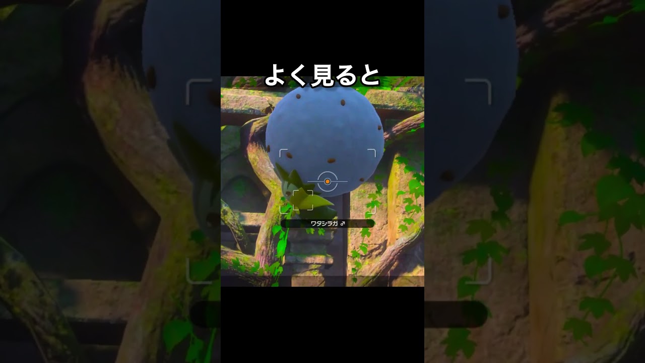 群れにまぎれるジラーチ　#ポケモンスナップ #ジラーチ