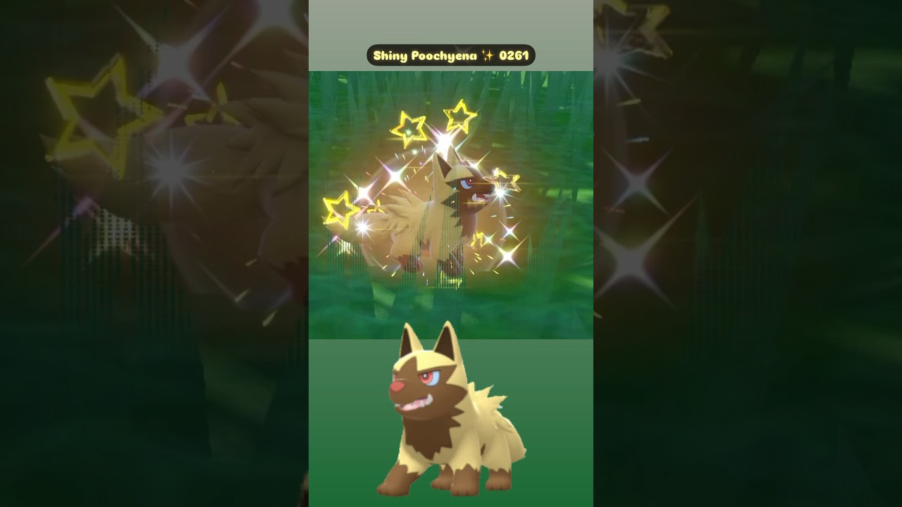 Shiny Poochyena ✨ 0261 caught in Pokemon Scarlet with Mass Outbreak